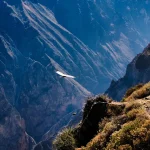 colca canyon 2 day tour